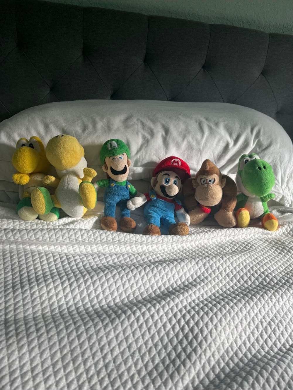 Nintendo Super Mario Plush group: Mario, Luigi, Koopa, Green/Yellow Yoshi, DK